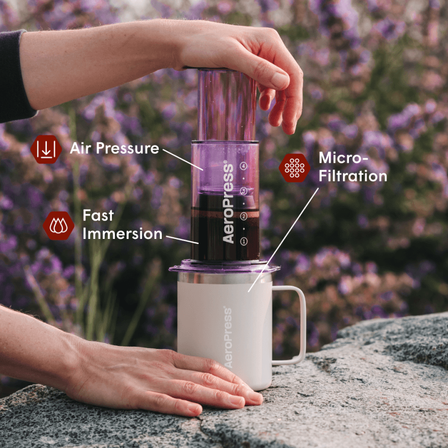 Barista Bundle - Clear